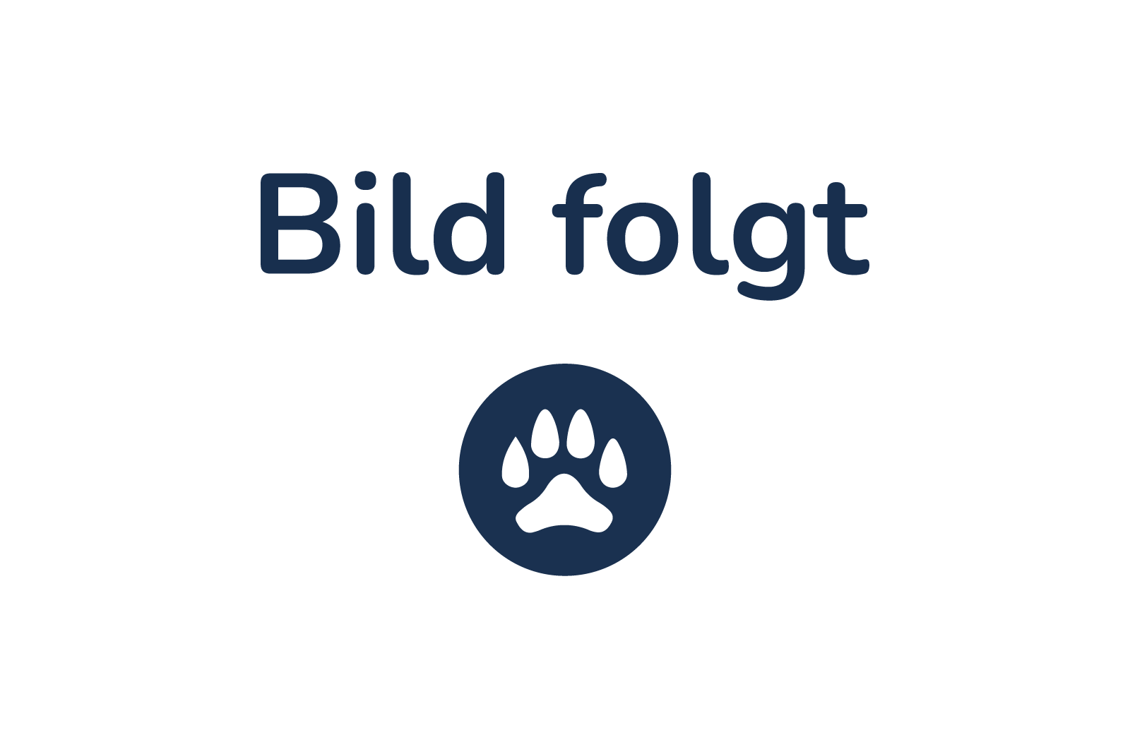Bio Kartoffelflocken